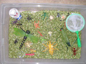 Bug theme - green split peas, plastic bugs, net, magnifying glass