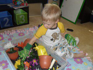 Gardening theme - black beans for "soil", flower pots, silk flowers, gardening gloves and tools