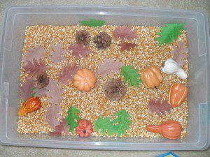 Thanksgiving theme - corn kernels, fake pumpkins and gourds, silk leaves