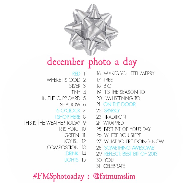 DECEMBER-PHOTO-A-DAY