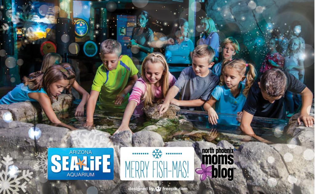 North Valley Moms Blog - Arizona Sea Life