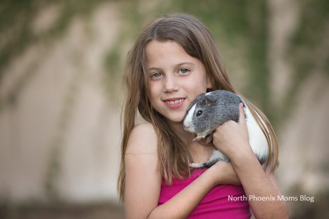 get-your-family-pet-in-photos-to-remember-them--north-phoenix-moms-blog-copy