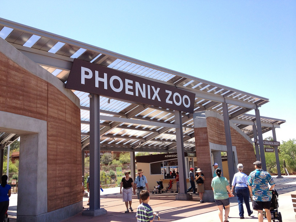 10 Must-Visit Family-Friendly Activities in Phoenix :: Phoenix Zoo