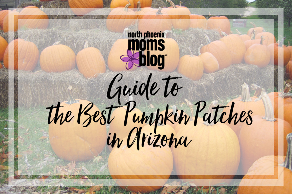 the-best-pumpkin-patches-in-arizona