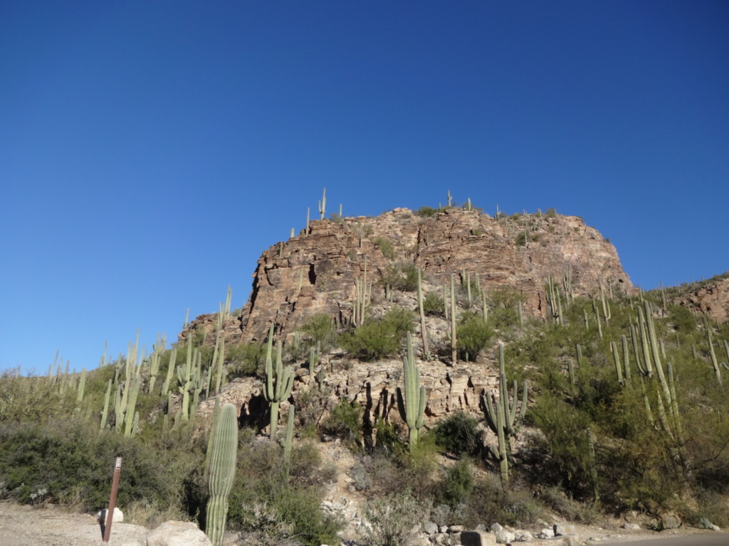 Road Trips in Arizona North Phoenix Moms Blog