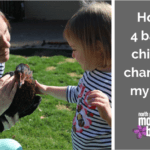 How 4 Baby Chicks Changed My Life