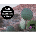Top 10 Reasons to Love Phoenix in Winter-2