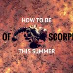 Staying Scorpion Free This Summer