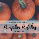 2017 Guide to the Best Pumpkin Patches in Arizona