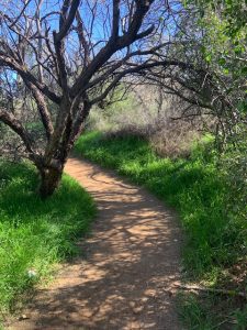 two family friendly hikes